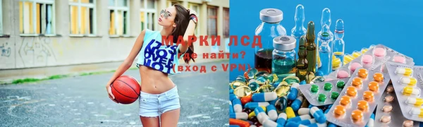 дурь Аркадак