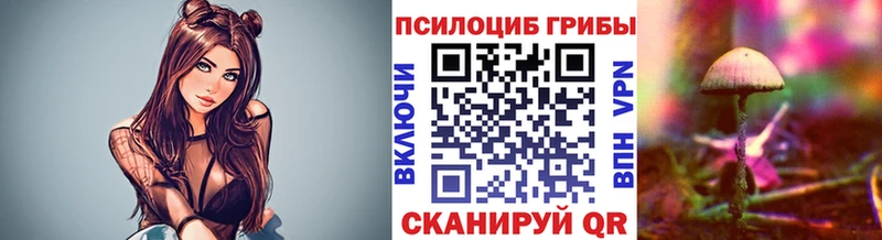 Псилоцибиновые грибы Magic Shrooms  Ессентуки 