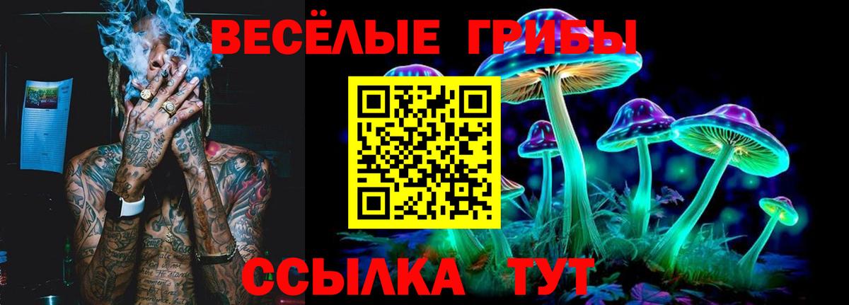 Псилоцибиновые грибы Magic Shrooms  Вход с VPN  Ессентуки  сколько стоит  Псилоцибиновые грибы ЛСД 